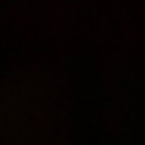 Meet your Posher, Shawn